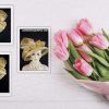 Mother Of The Bride Hat