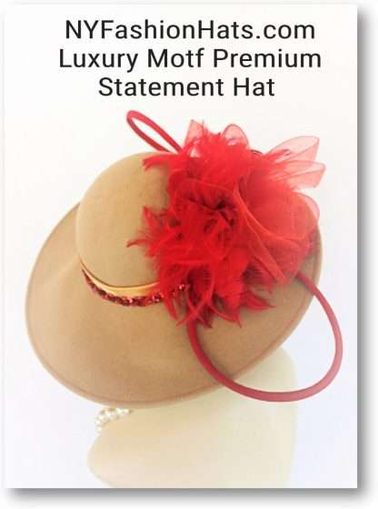 Hat Winter Beige Red Wide Brim