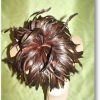Statement Winter Hats For Women Millinery